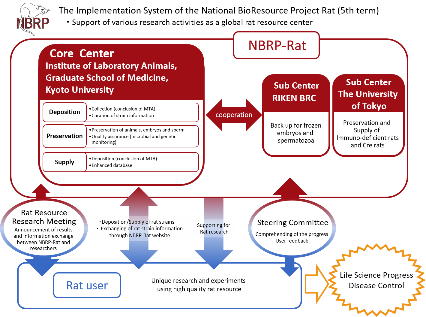 NBRP structure